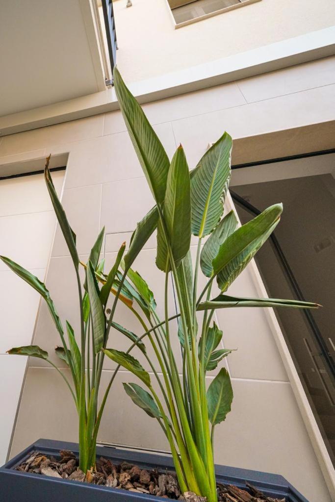 Run House 07 Rooms & Apartments Cassano delle Murge Exterior foto